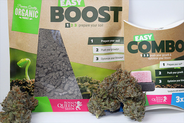 Easy Boost Nutrição Orgânica  Easy Boost Nutrição Orgânica