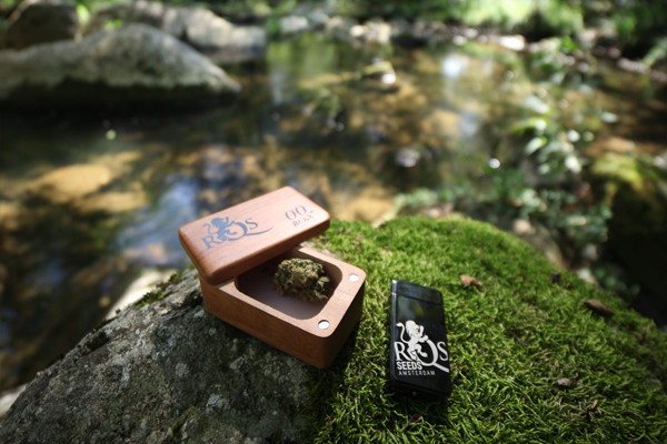 Isqueiro de Plasma RQS