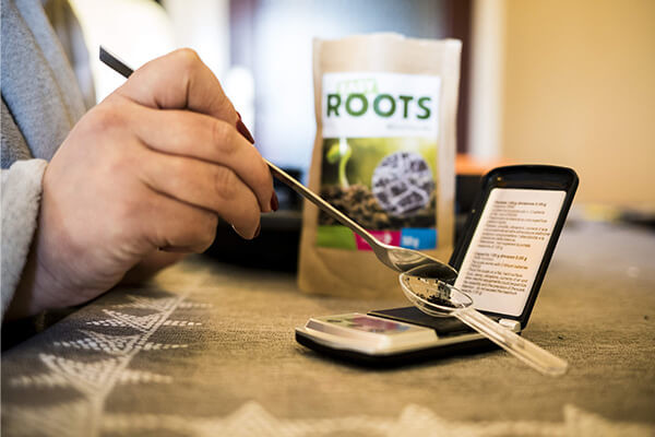 Easy Roots - Mix de Micorrizas