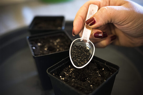 Easy Roots - Mix de Micorrizas