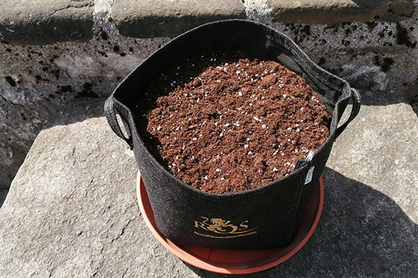 Vaso de Tecido RQS Vaso de Tecido RQS